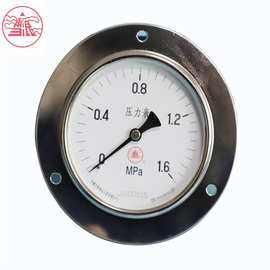 雪浪特种仪表 普通压力表直径60毫米 双刻度一般轴向带边压力表