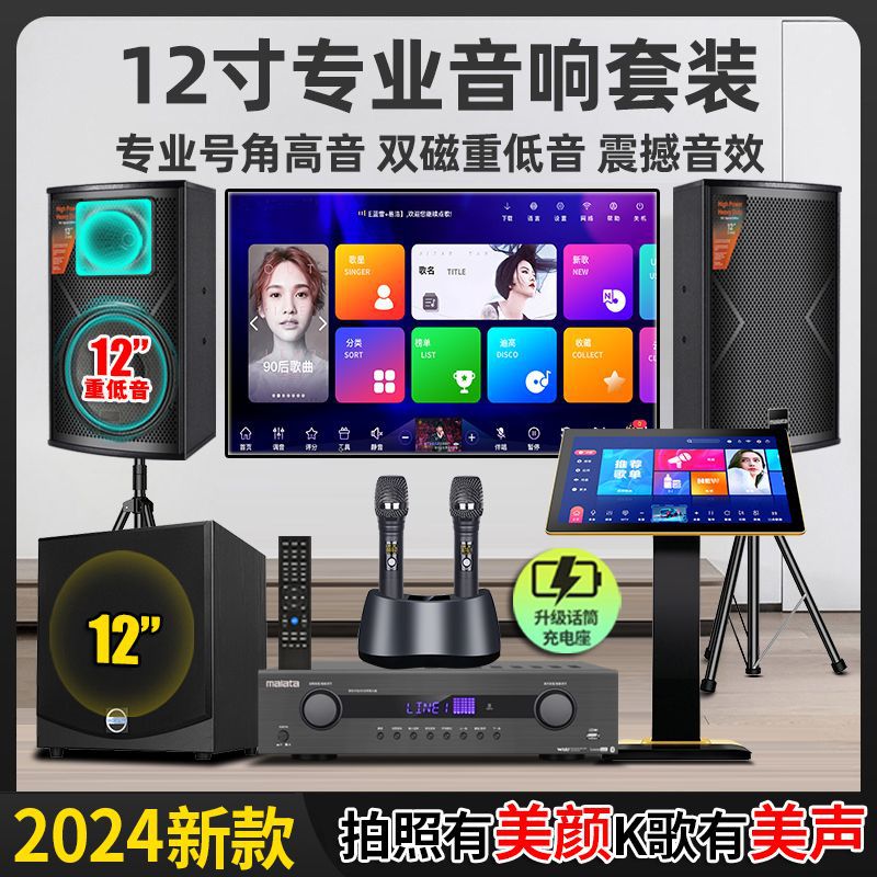Wanlida 12inch Home Ktv Audio Set Full Set of Home Karaoke Karaoke Speaker All-In-One Machine