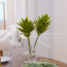 inss·Gֲ^滨Ҿܛb쾰ֲ羳Q