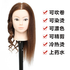 Hairdressing Head Model Real Human Hair Apprentice Hair Cutting Practice Fake Head Model Can Be Perm Dyed Blow Dried Cut Doll Model Head