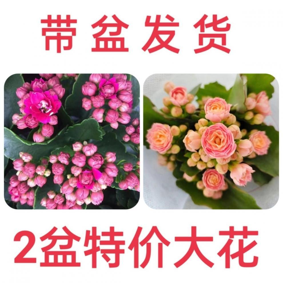 f73526bb-db78-4150-9996-0f405bec2797.jpe