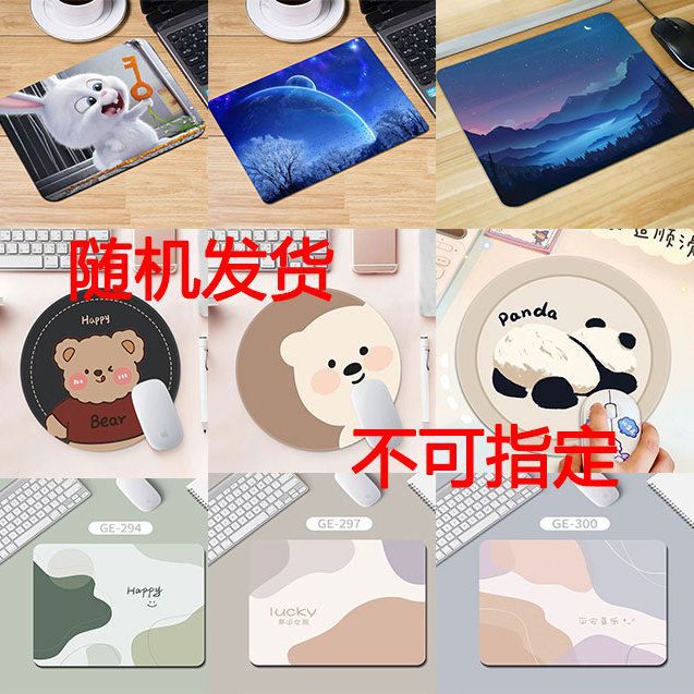 플랫 마우스 패드 [무작위 사진 수백 장]