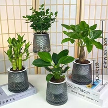 �ļ��׻�͸���z�踻�F���荰lؔ�������Gֲ��������B