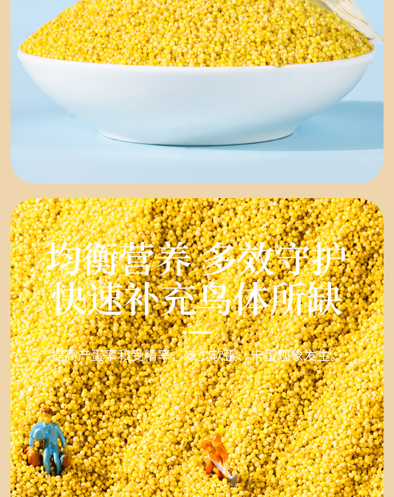 4dcb9bca-d6b2-47f4-a9de-6fd71b8d78c6.jpe