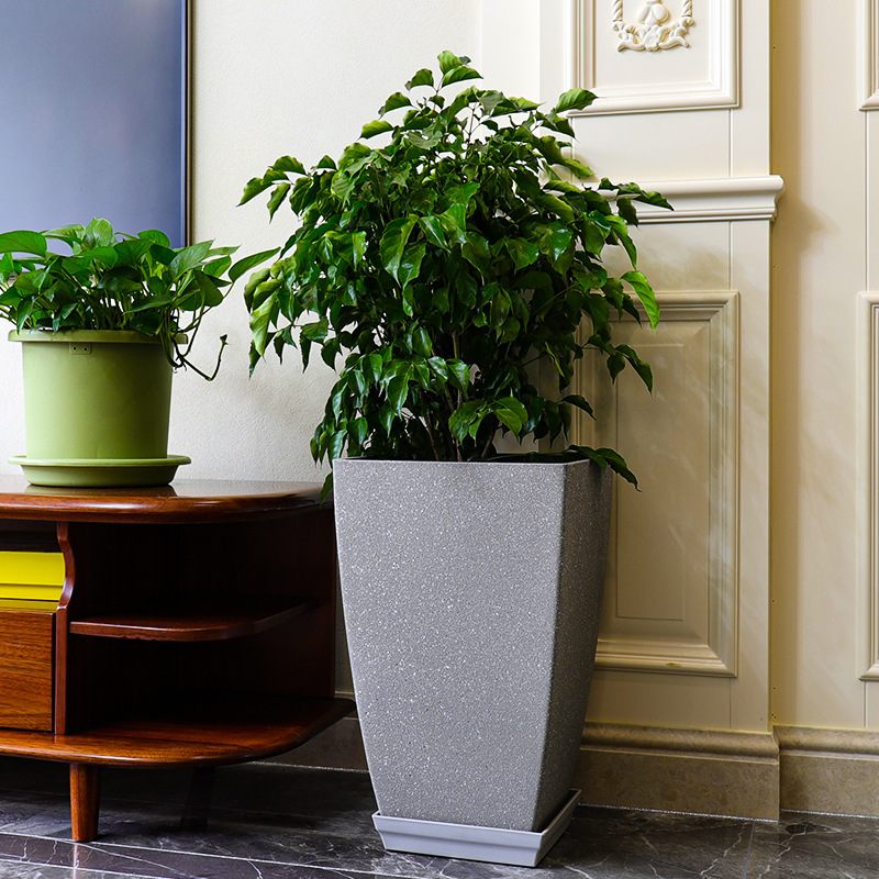 Fábrica de pelo lacio imitación cemento esmerilado textura decoración del hogar paraíso pájaro boca cuadrada resina engrosada gran maceta transfronteriza