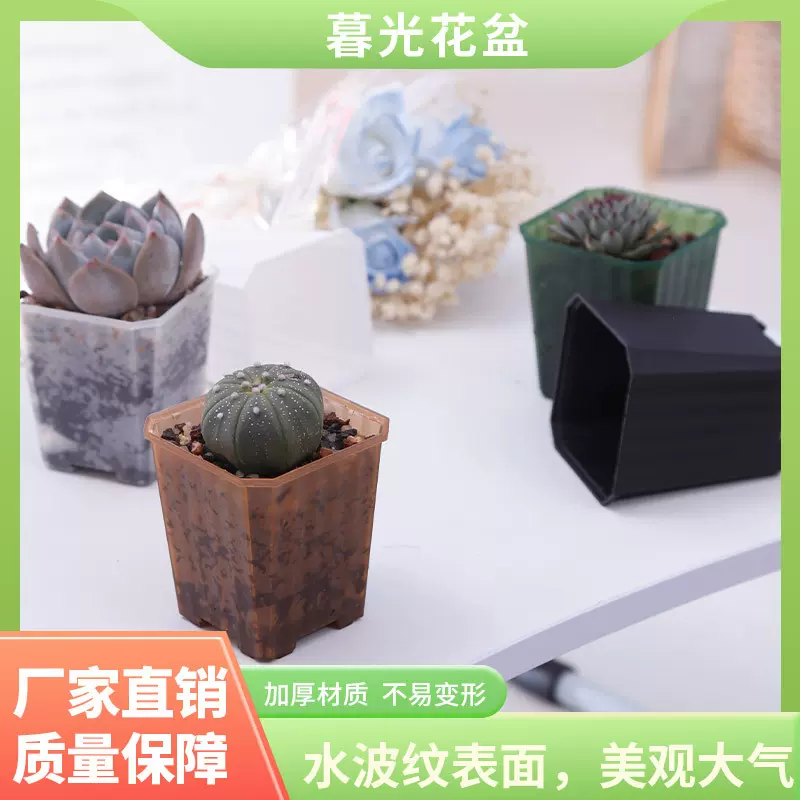 加厚7cm盆升级款半透明创意塑料花盆水波纹北欧外贸多肉小绿植