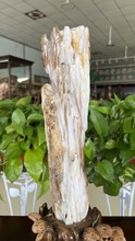 木化玉树化石奇石冰种树化玉原石桌面装饰木化石石大摆件金色杏色