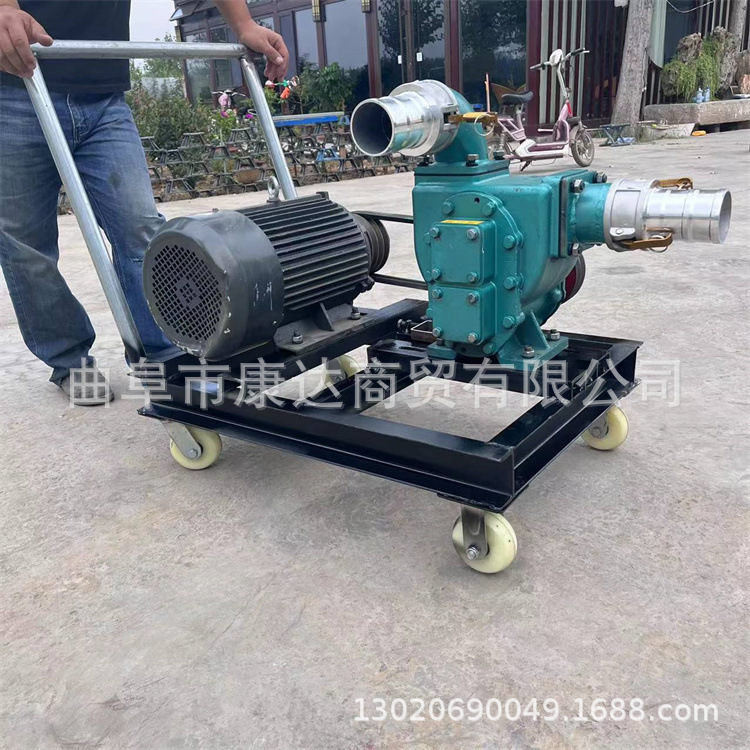 市政排水吸污泵 钢齿轮吸粪泵抽粪泵 污水泵抽化粪池泵