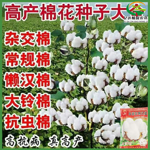 ���ز�Нh�޻��N�Ӹ߮a���Ҵ������޷N�Ѹ߿������x�s������޷N