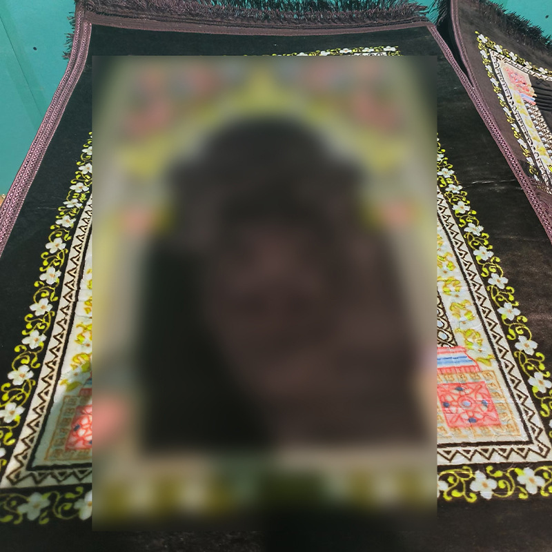 Fábrica de alfombra de Zhaobai fuente de flujo spot alfombra subai alfombra rascher alfombra doméstica antideslizante antisucia viento nacional