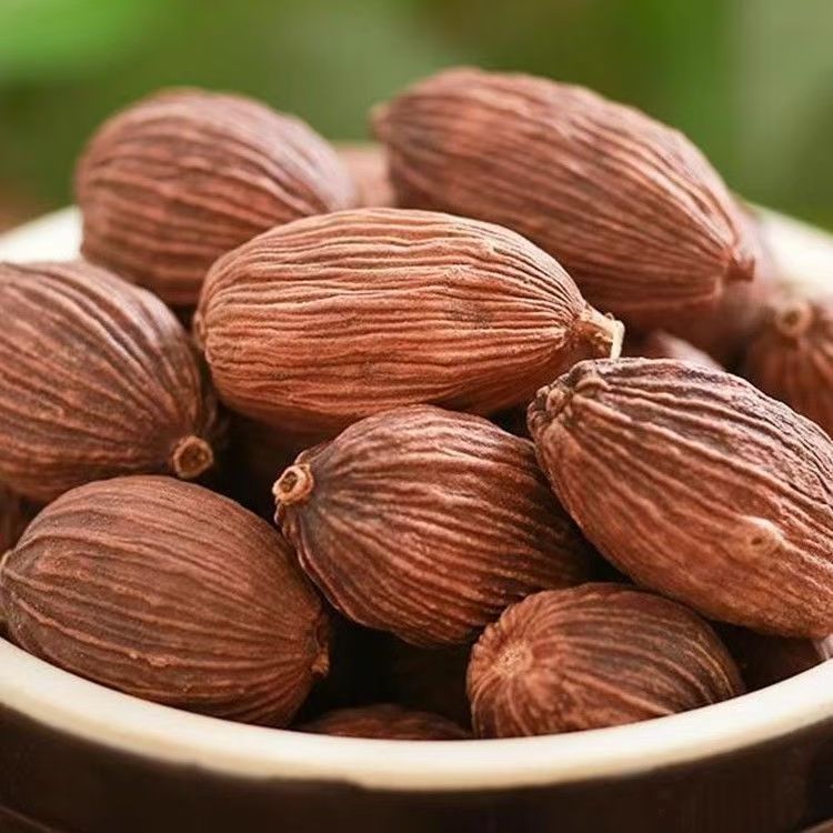 Cao Guo Tsaoko Fruit 100g Bottle Dried Chinese Herbal Spice for Cooking and Decoction in use