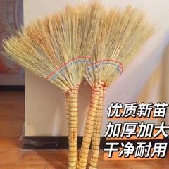 金糸の苗は種を取りに行きます。