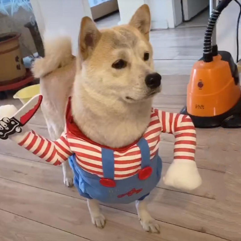 網紅同款拿刀搞怪搞笑小型犬變身裝寵物搞笑狗狗貓咪寵物衣服