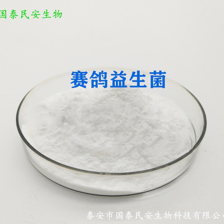 赛鸽益生菌鸽益生菌鸽食品养殖鸽子益生菌赛鸽益生菌防抗