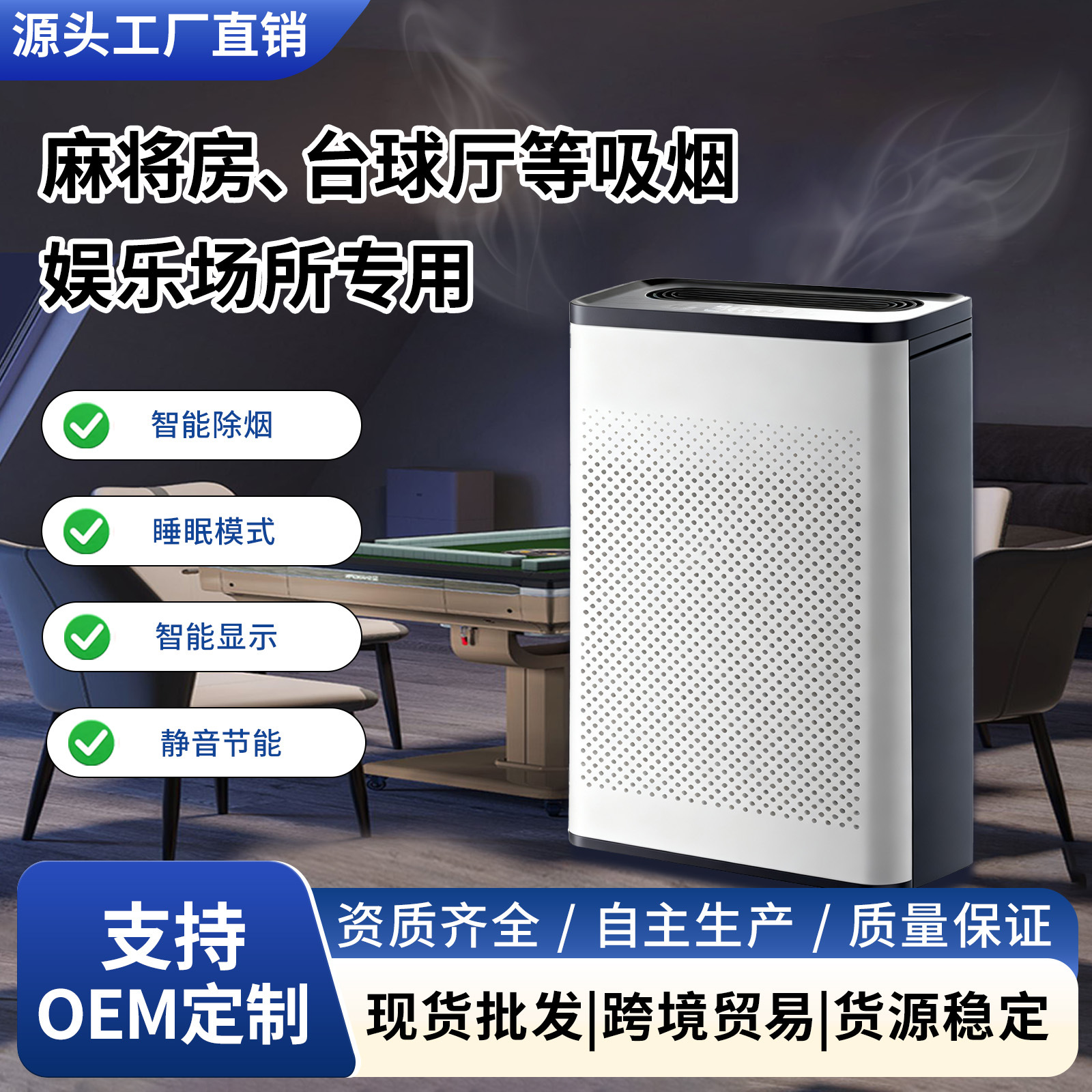Air Purifier for Home Use, Removes Formaldehyde, Second-Hand Smoke, Eliminates Odors, Absorbs Pet Dander, Negative Ion Purifier, Customizable