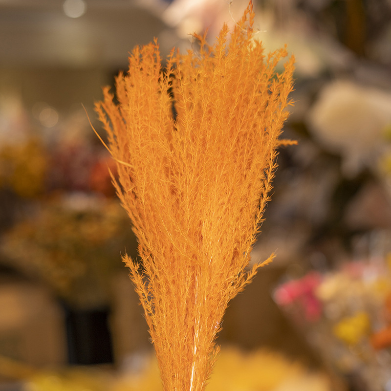 오렌지 (10 pts/묶음)