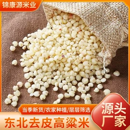 玉米;杂粮组合;生花生
