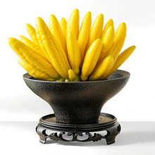 ���ָ̌�������L�U����������̦�\ާ��⻨����ʽ�^�p���ֹϱP