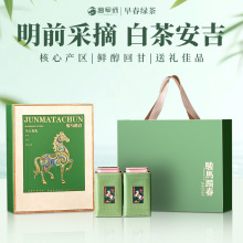 �ײ谲��2026�²��~�Y����ǰ�紺�G����ѿ�͸�ĸ�L݅�I���Y��160g