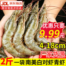 南美白对虾青虾基围虾鲜活大虾无冰厄瓜多尔白虾生鲜冻品海鲜水产