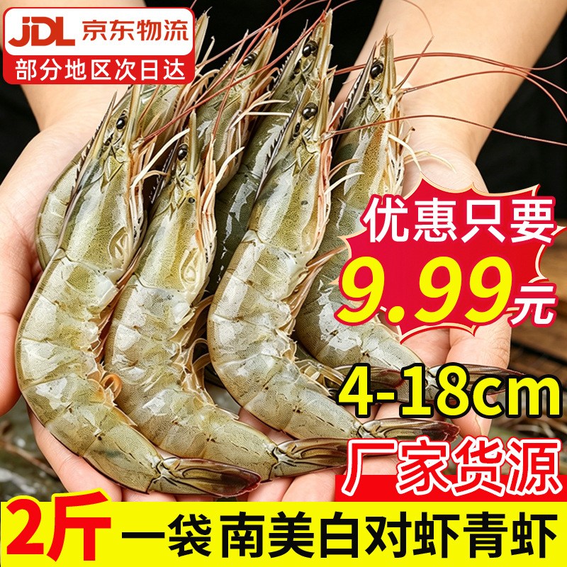 南美白对虾青虾基围虾鲜活大虾无冰厄瓜多尔白虾生鲜冻品海鲜水产