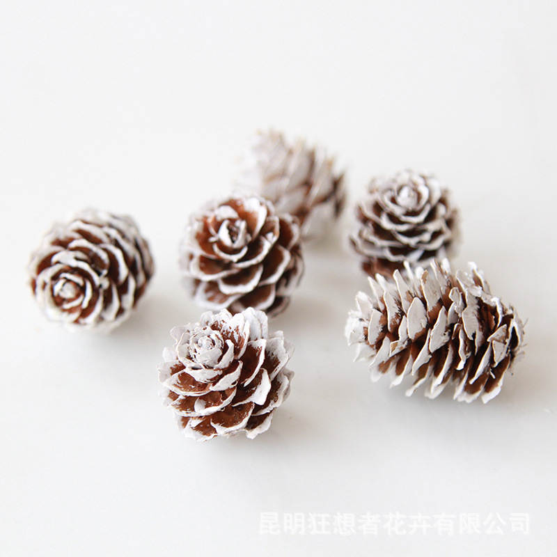 Quả thông nhỏ nhỏ màu trắng 2-3cm (một túi 20g, khoảng 9 chiếc)