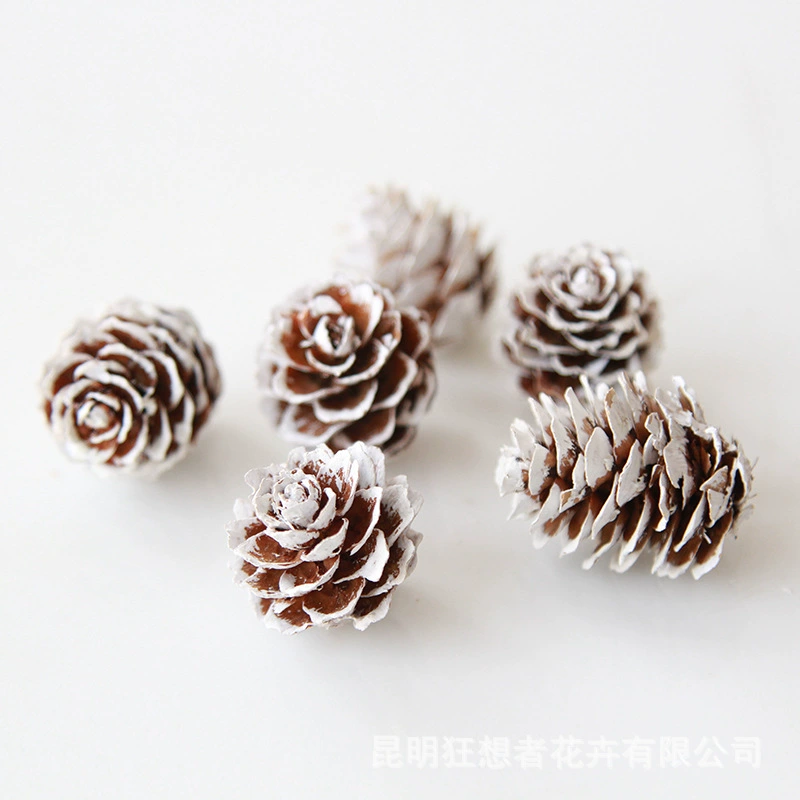 Dry Flower DIY Materials [Dry Fruit] Madman Sommelier Candle Plant Simagon Handmade Class Dry Flower Dry Branches Material