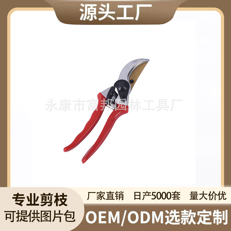 厂家直供修枝剪刀树枝剪园林花卉粗枝剪园林工具专用大力剪批发