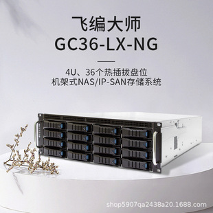 Fei Bi Master Gc36-Lx-Ng Domestically Produced 10g Disk Array Enterprise-Level Network Storage Is Independently Controllable