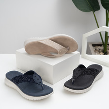 2025�����ׁ���߅ɳ���A�_ֺ�pӯ���֛���ЬŮһ�����l�¸����