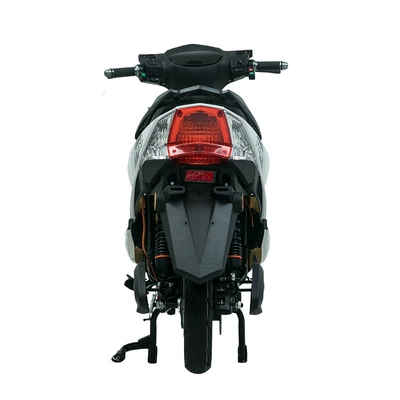 Elektrikli motosikletlər Bicycles for Adults, Foreign Models