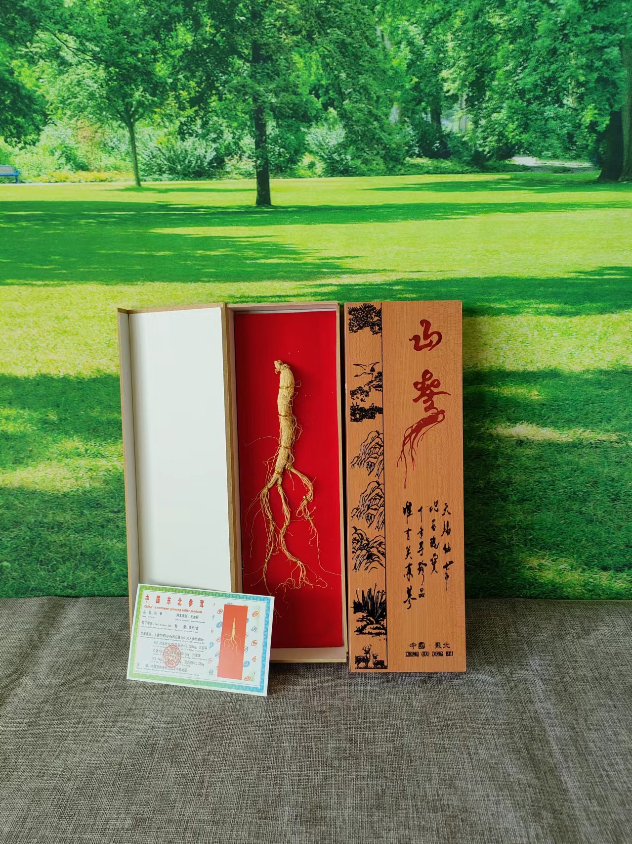 ae0a6f80c49601433ab13c31d53e43