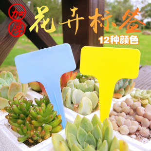 [Customized] plastic fleshy label flower gardening card potted plant name label waterproof small card