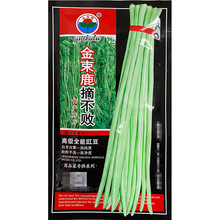 金束鹿摘不败长豆角种子 菜园农家压趴架绿荚顺直长豇豆种籽 蔬菜