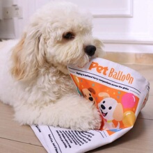 �羳����nteractive Crinkle Dog Toy�������È��OӋ�m�Ͼ׽�