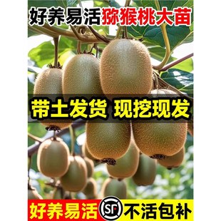 �J���Ҙ�������ͬ��t������ܛ���޽��ϱ��ļ��Nֲ���Ե��Թ���