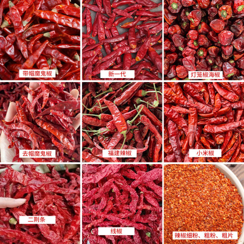 Huayuan Liangpin S17 Dried Chili Extra Spicy Millet Chili Red Oil Chili Noodles Henan New Generation Chaotian Pepper Sky Eagle Pepper
