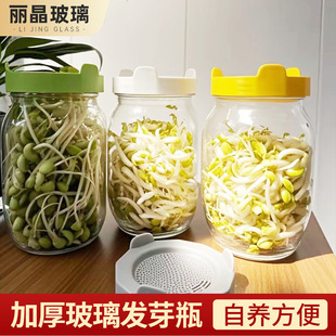 New Glass Germination Bottle Transparent Mason Jar Germination Jar Glass Empty Bottle with Plastic Mesh Cover Drain Tray in Stock