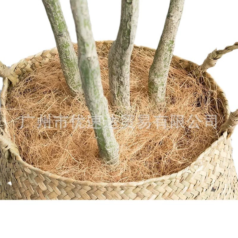 Измельченная Кокосовая пальма Измельченная скорлупа кокосового ореха волокна в горшке поверхность растения Измельченные кокосовые волокна конопли коричневый шелк цветок Посадка крышка