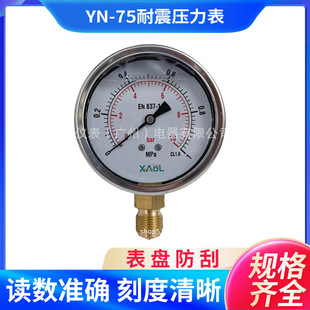 XAOL��������������YN75 10bar G3/8 Һ���͉����������������]