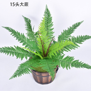 Simulation plant wall side dish size bundle kidney fern green plant potted leaves iron tree Persian plastic decorative green plant leaves