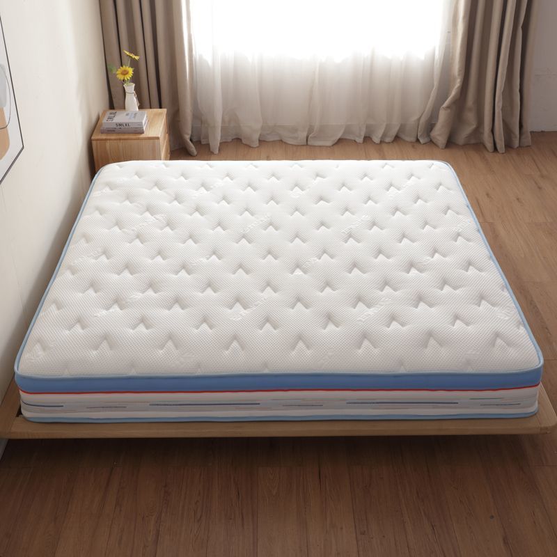 c1b503f0-71cc-47f6-ab51-47238dd5502f.jpe