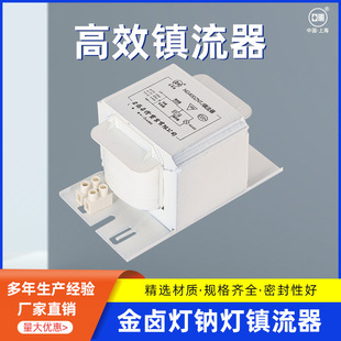 Shanghai Yaming High Pressure Sodium Lamp Copper Core Ballast Ng70W150W250W400W1000W Copper Wire Ballast