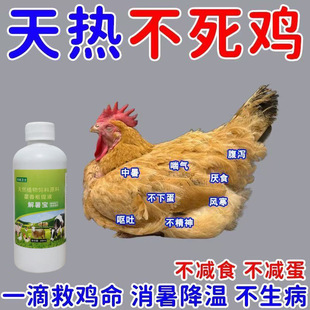 ���ڽ���u���Z����ثF�������iţ�������ᑪ���Bֳ����