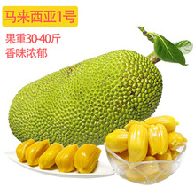 ���}�ۘ���̩���t��12̖8̖�R������1̖�S��t��޽Ӵ�䲤�}����