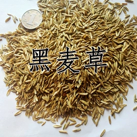 种子;营养液;其他园林资材