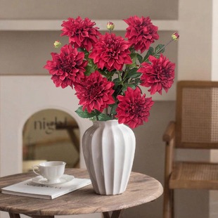 �羳���l��֧2�^�������ߙn������������ջ���Y��c�b����컨