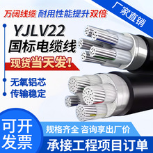 国标纯铝芯YJLV/VLV22架空1/2/3/4/5芯10平方地埋铠装电力电缆线