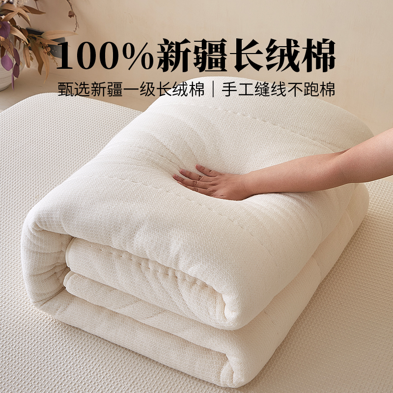 Cotton Quilt Made from Xinjiang Long-Staple Cotton, Thin Spring and Autumn Quilt, Handmade Single/Double Quilt Core, Custom Wholesale