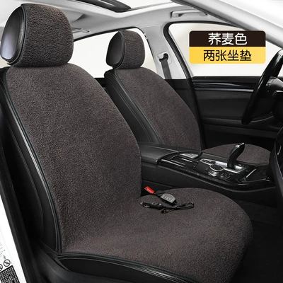 Fast Heating Electric Heating, Multi-function pad - universal-buckwheat-color-12v-double-seat